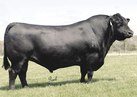 GAR Exaltation 3144